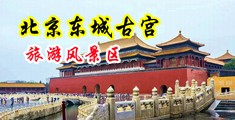 www.ribencaobi中国北京-东城古宫旅游风景区